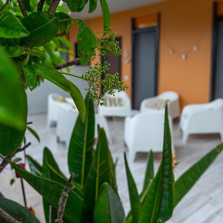 Paradiso Esotico Torre A Mare Zewnętrze zdjęcie