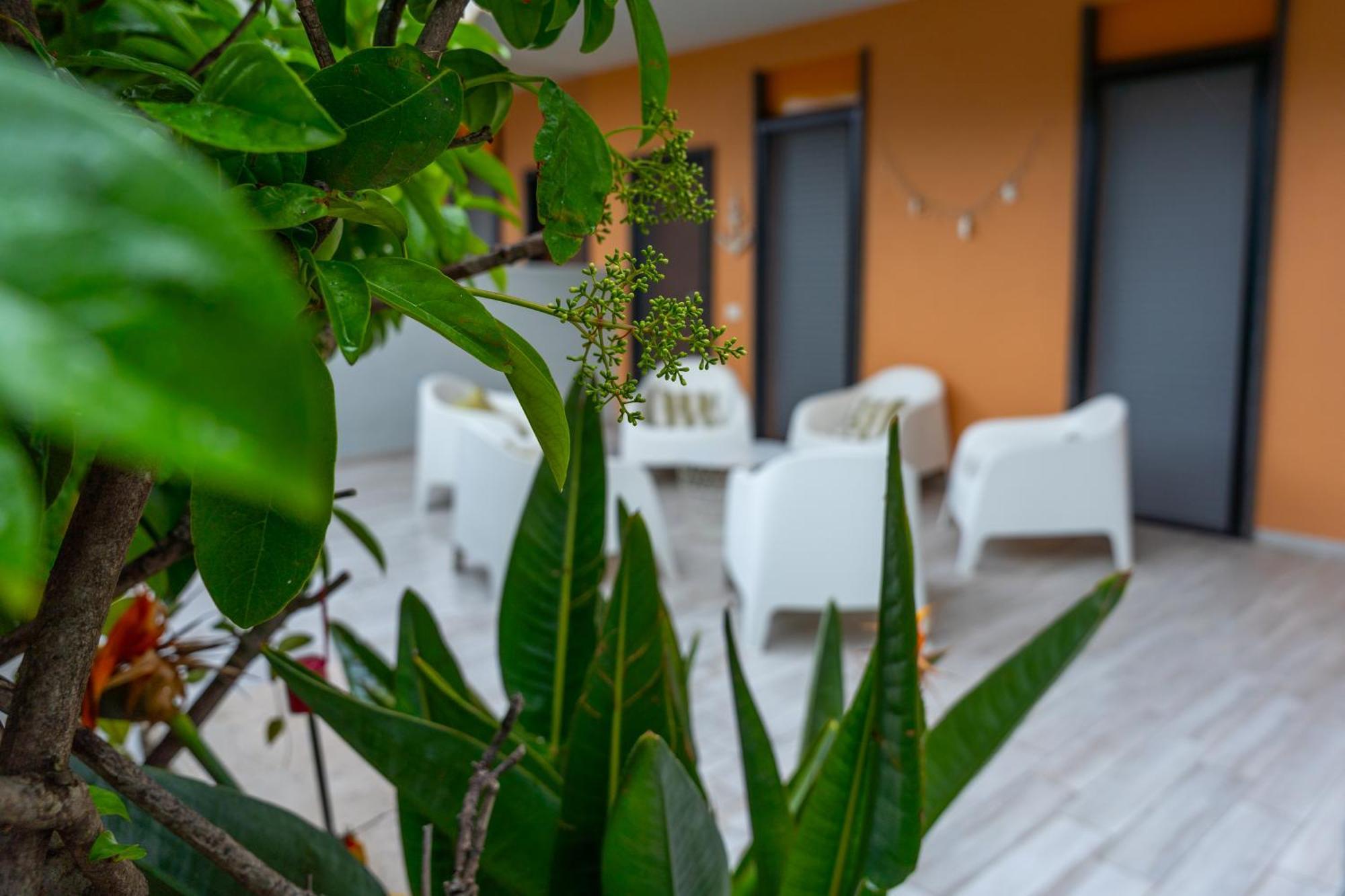 Paradiso Esotico Torre A Mare Zewnętrze zdjęcie